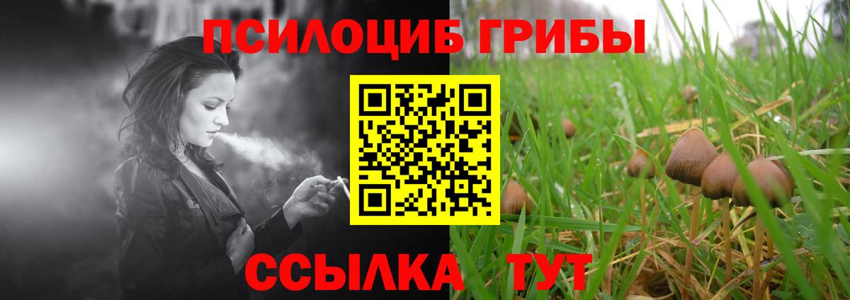 Псилоцибиновые грибы Cubensis  Вход с VPN  как найти   Заинск 