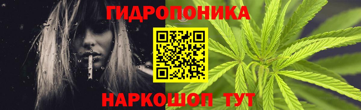 Марихуана тримм  МАРИХУАНА сатива  Заинск  Конопля White Widow  Вход с VPN  МАРИХУАНА THC 21% 